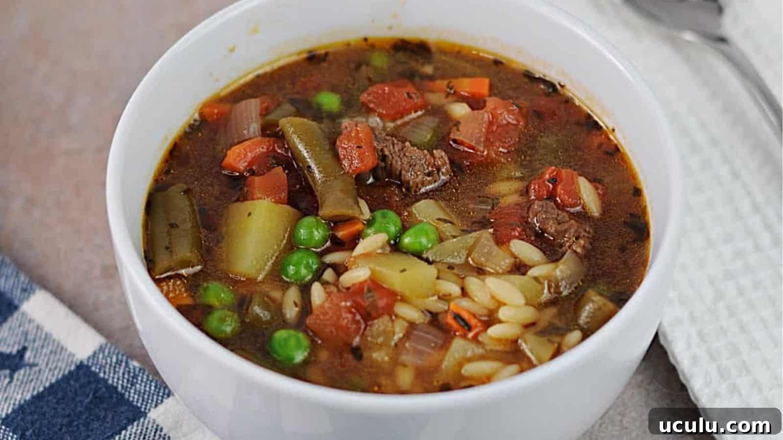 Instant Pot Vegetable Beef Soup