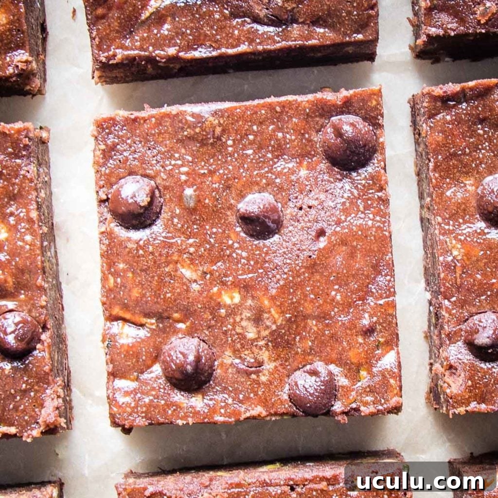 close up of a brownie square with chocolate chips 