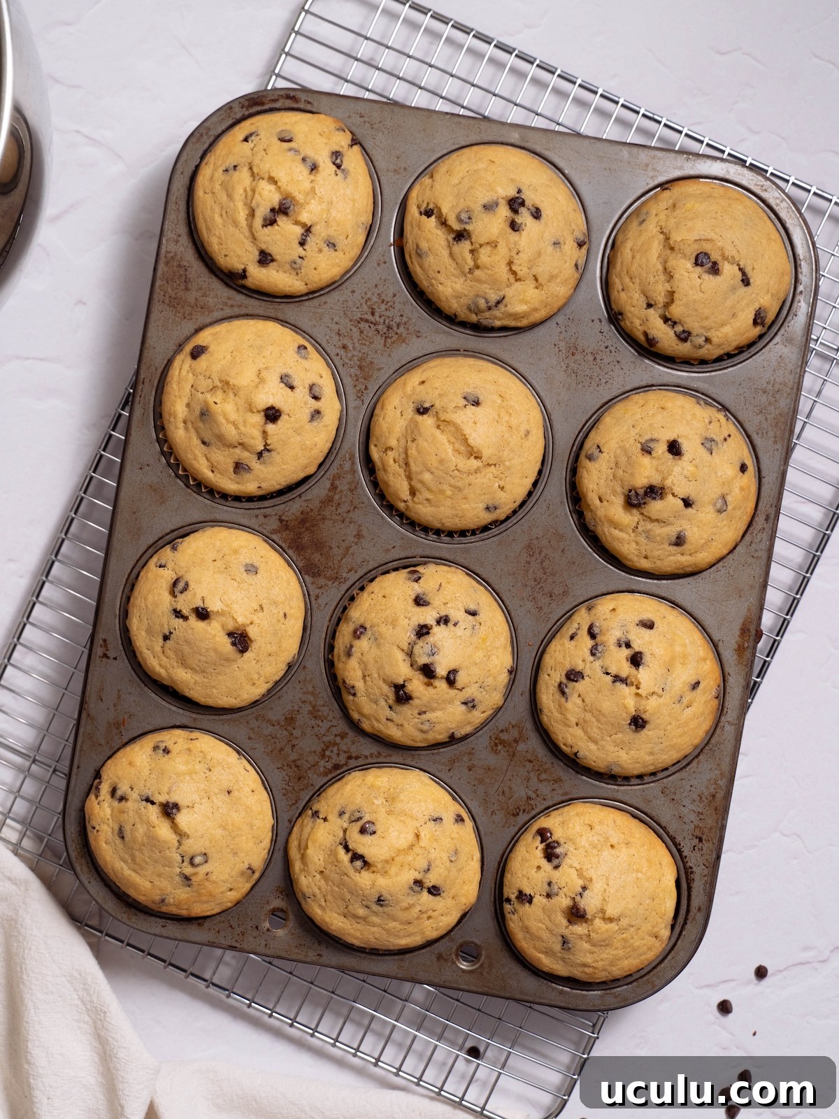 Banana sourdough muffins fresh out of the oven