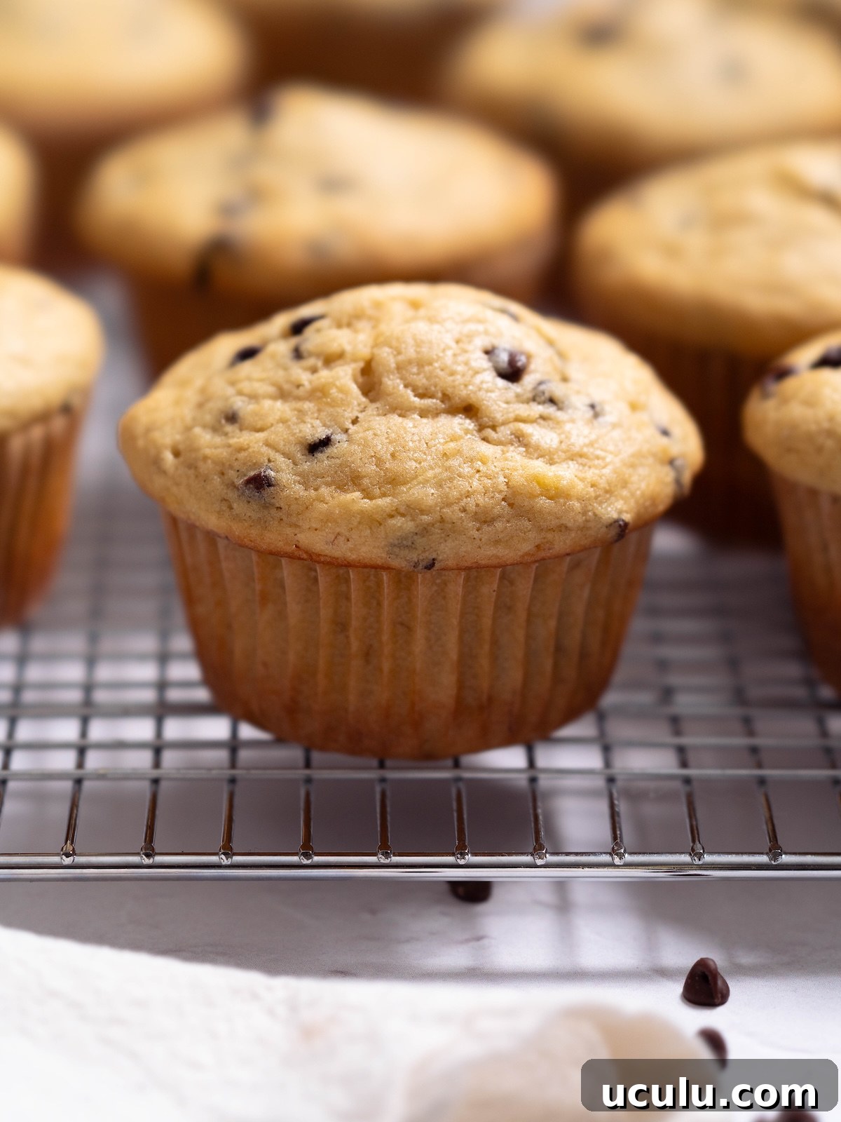 A batch of freshly baked muffins on a cooling rack