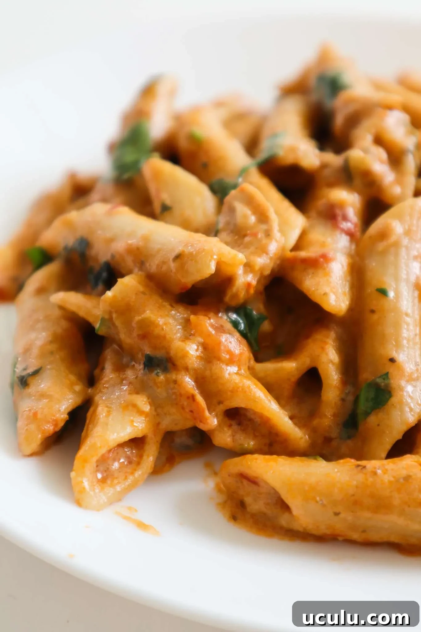 Creamy pesto pasta recipe: you need to try this one-pan veggie-packed meatless dinner idea, so easy, so good and your kids will absolutely love this healthy pasta recipe!