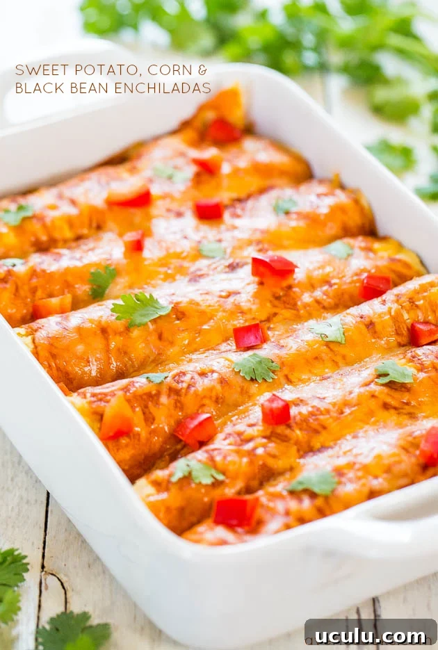 Sweet Potato, Corn & Black Bean Enchiladas (vegetarian) - Healthier comfort food that everyone will love! Fast, easy & tastes amazing!