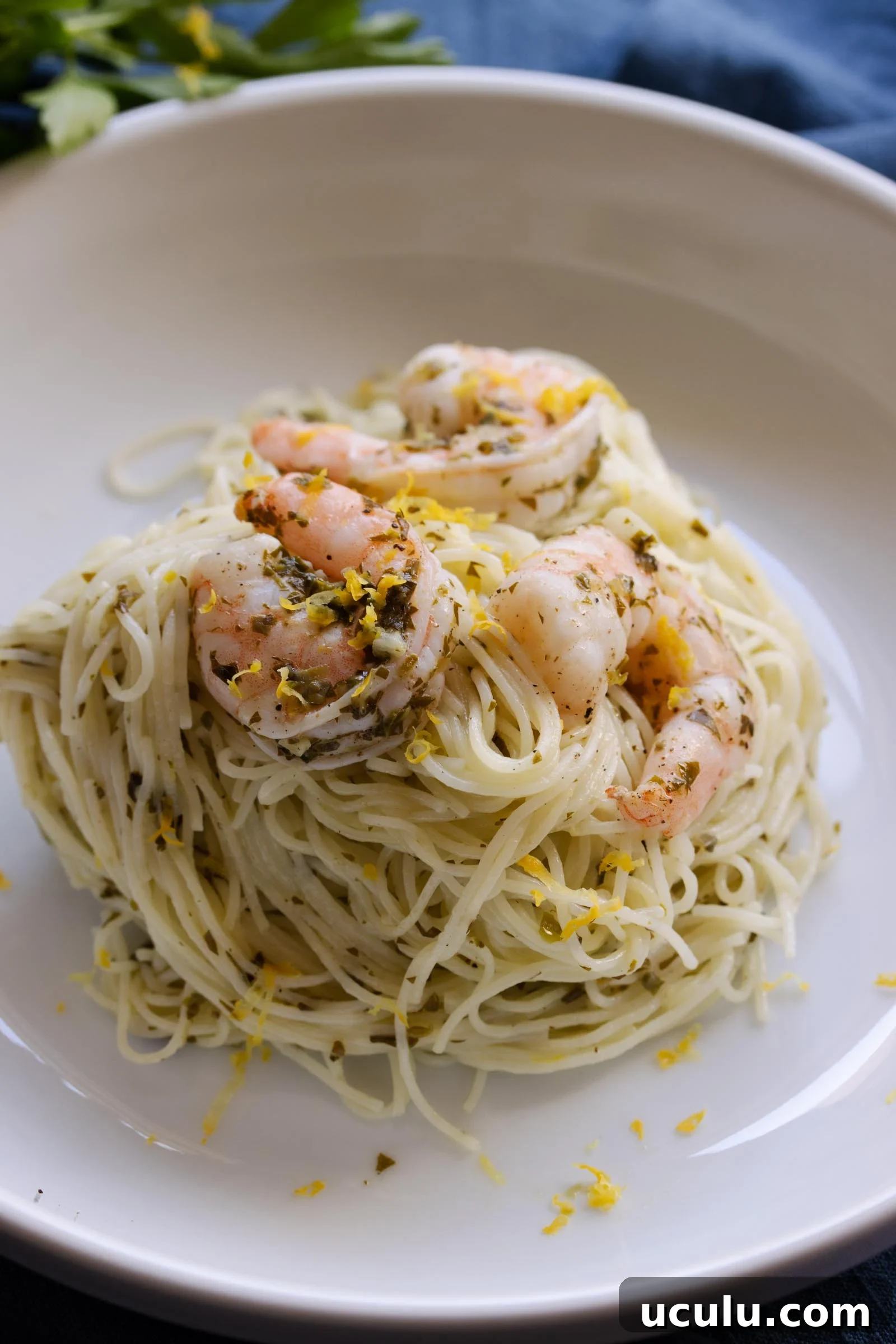 Creamy Lemon Shrimp Scampi Pasta