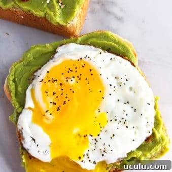 Easy Avocado Toast Recipe