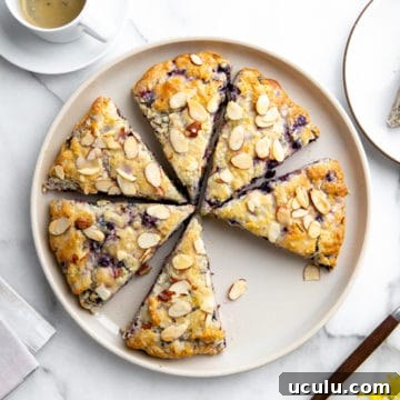 Overhead shot of a platter of gluten free blueberry scones.