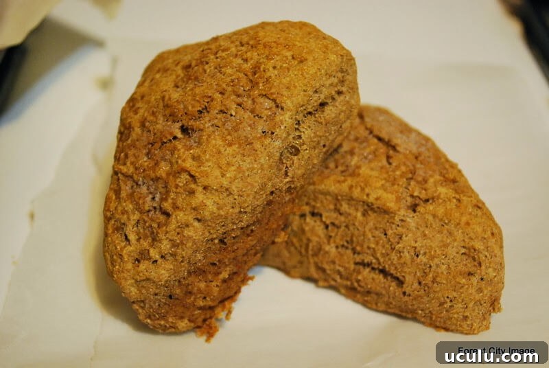 Sprouted Wheat Cinnamon Scones