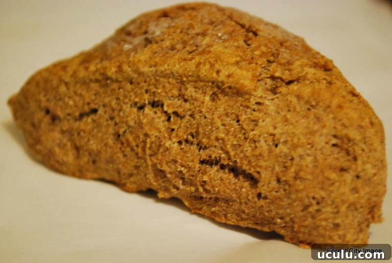 Sprouted Wheat Cinnamon Scone