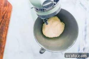 stand mixer with smooth dough.