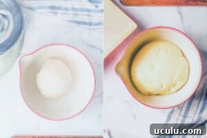 dough shaped into a ball before and after rising.