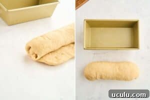 rolled up log of dough.