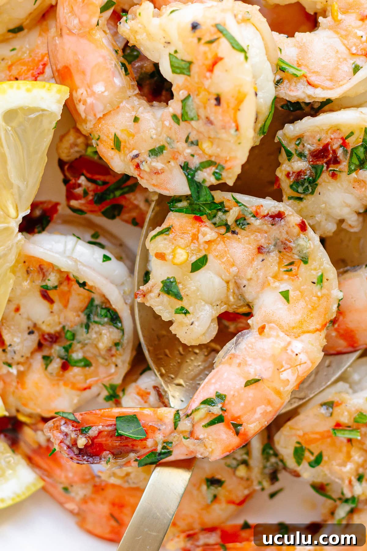 Closeup of garlic ginger pan seared shrimp on a serving spoon.