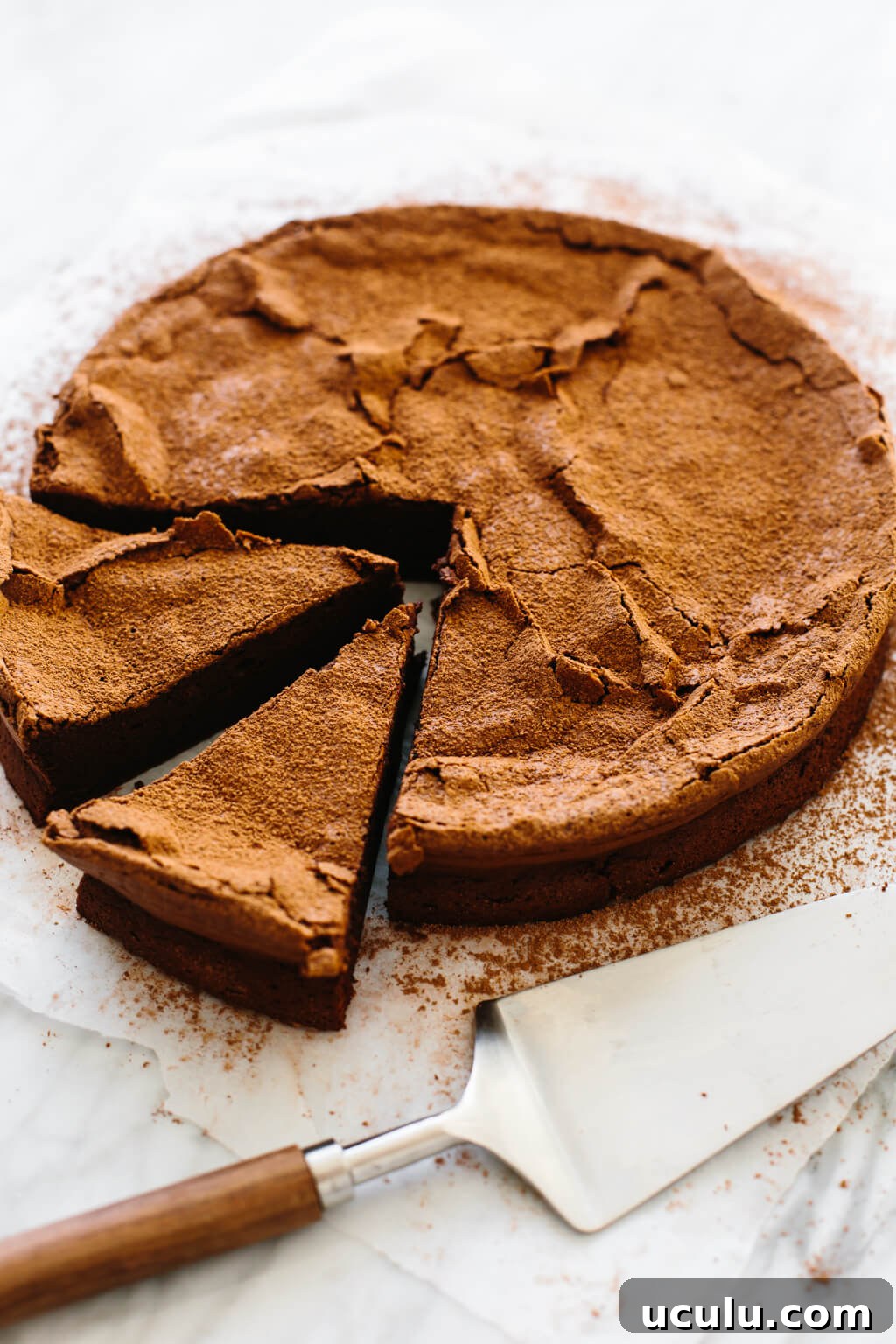 Flourless chocolate cake that's gluten-free, paleo and easy! It's the best flourless chocolate cake recipe and only has 5 ingredients!