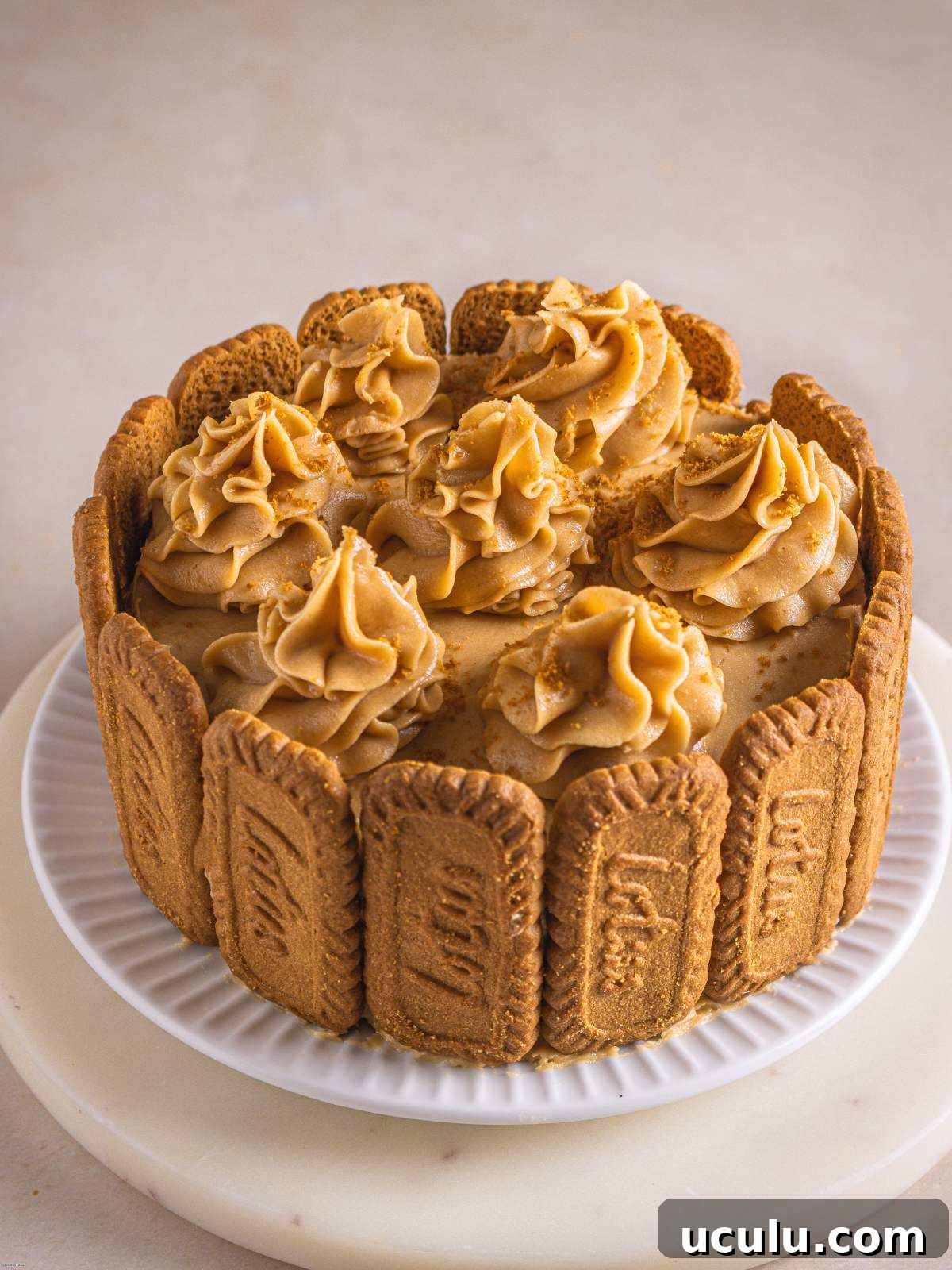 lotus biscoff cake with beautiful buttercream swirls.