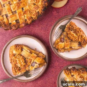 Apple pie with canned apple pie filling.