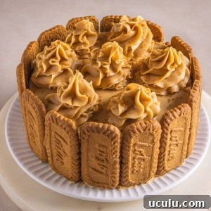 lotus biscoff cake with biscoff buttercream on a white plate.