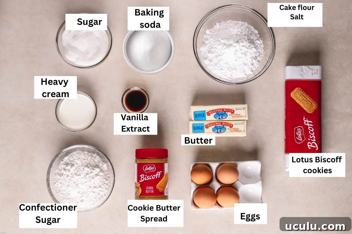 ingredients list for biscoff cake.