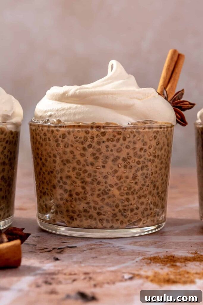 Dirty Chai Chia Pudding