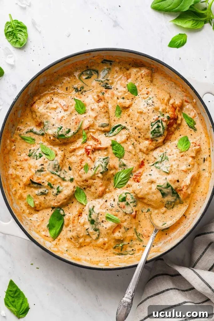 top down view of the creamy chicken thighs dish, garnished with basil leaves