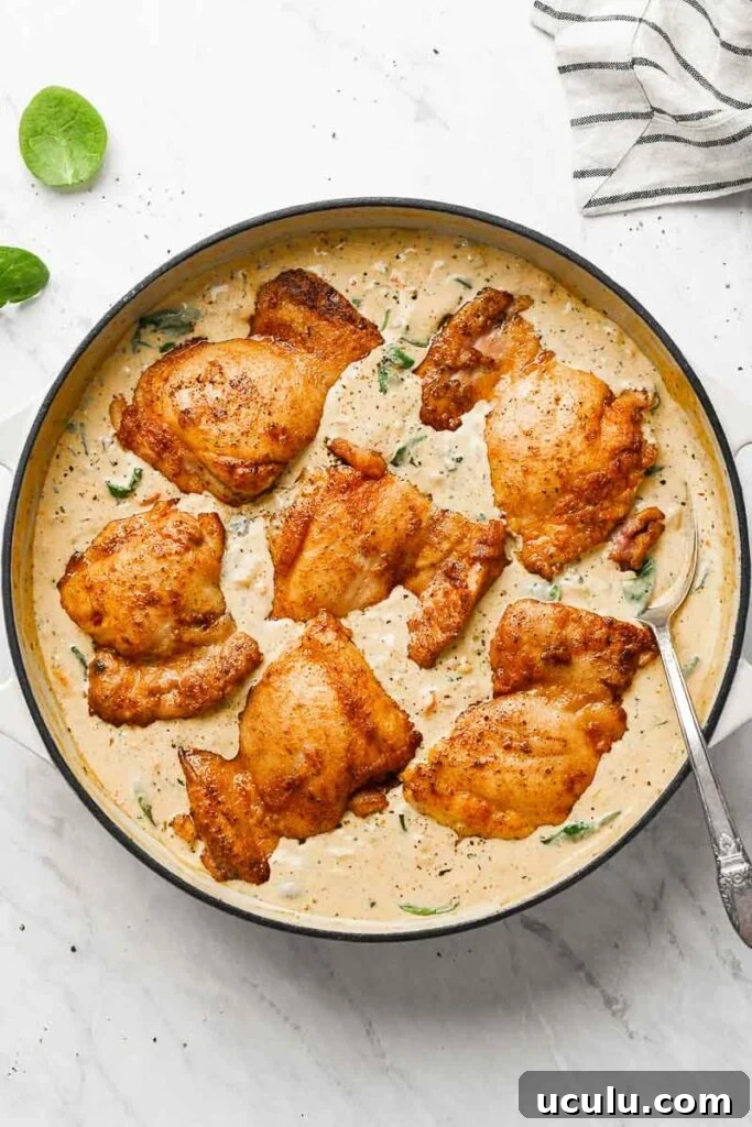 chicken thighs drench in the creamy sauce