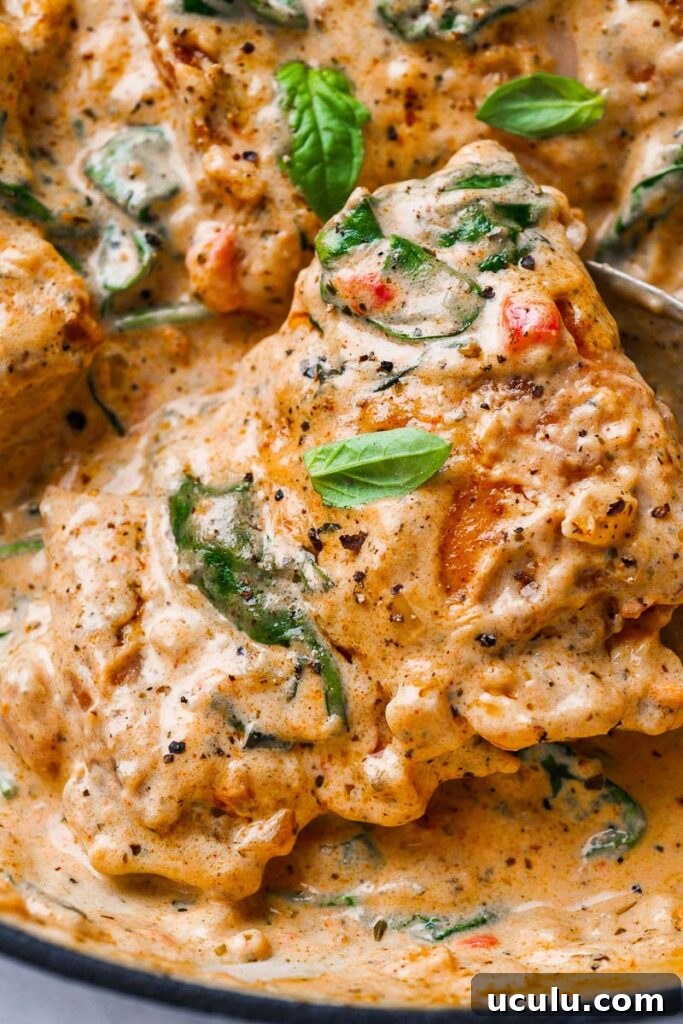close up view of the creamy chicken thighs