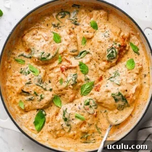 top down view of the creamy chicken thighs dish, garnished with basil leaves