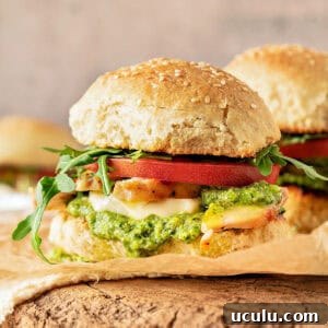 Close up of pesto chicken tomato sandwich. Gray background.
