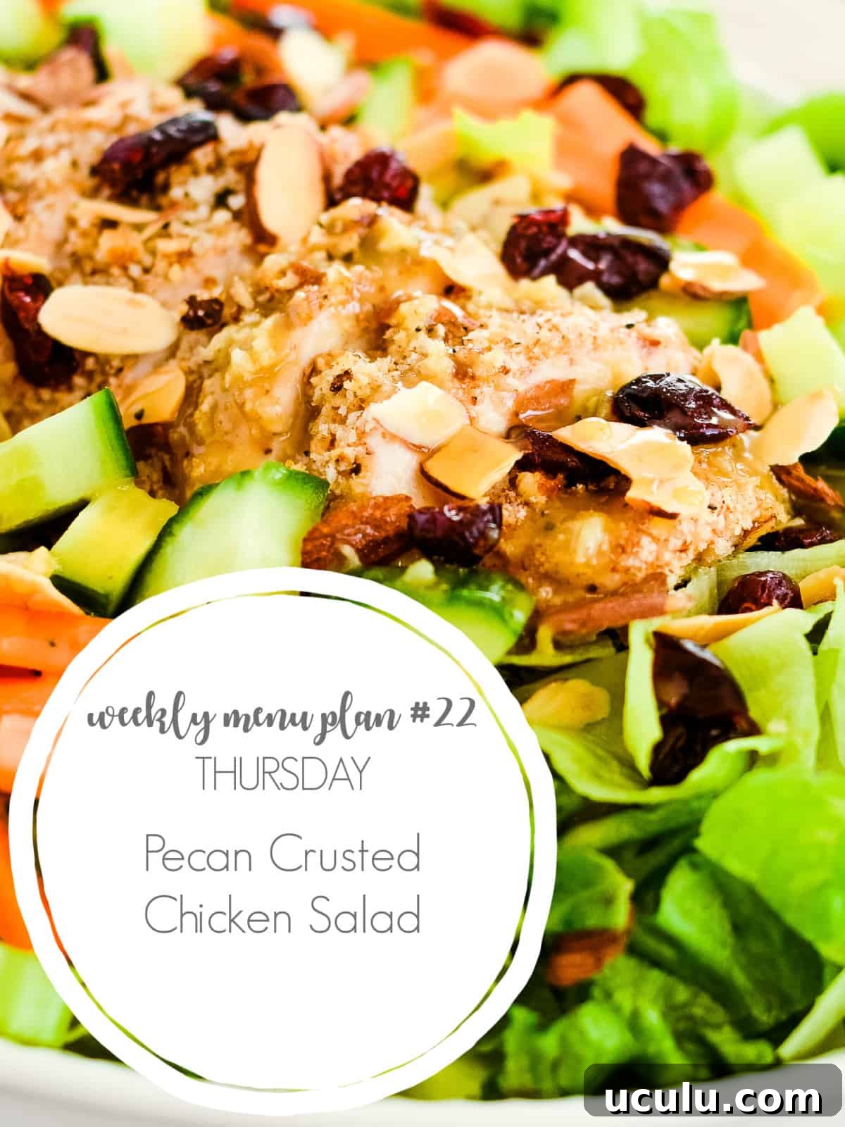 pecan crusted chicken salad