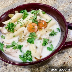 Creamy Chicken Noodle Soup