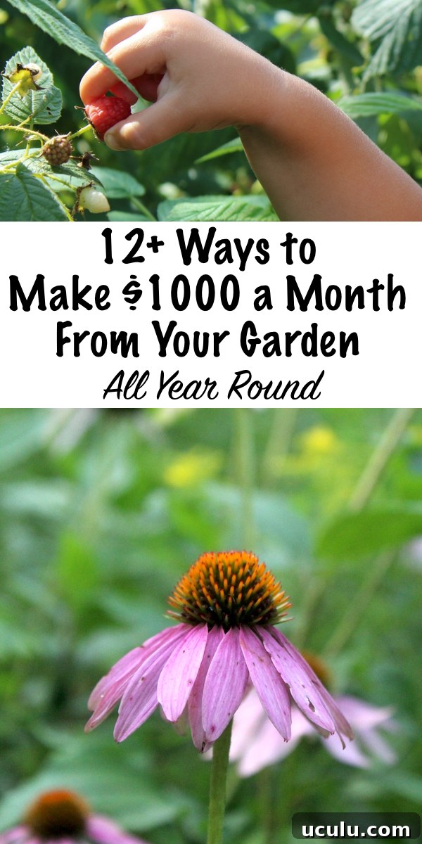 12+ Ways to Make an Extra $1000 a Month From Your Garden ~ Year Round! ~ A home garden is a great opportunity to earn an extra income from something you already love all year round.