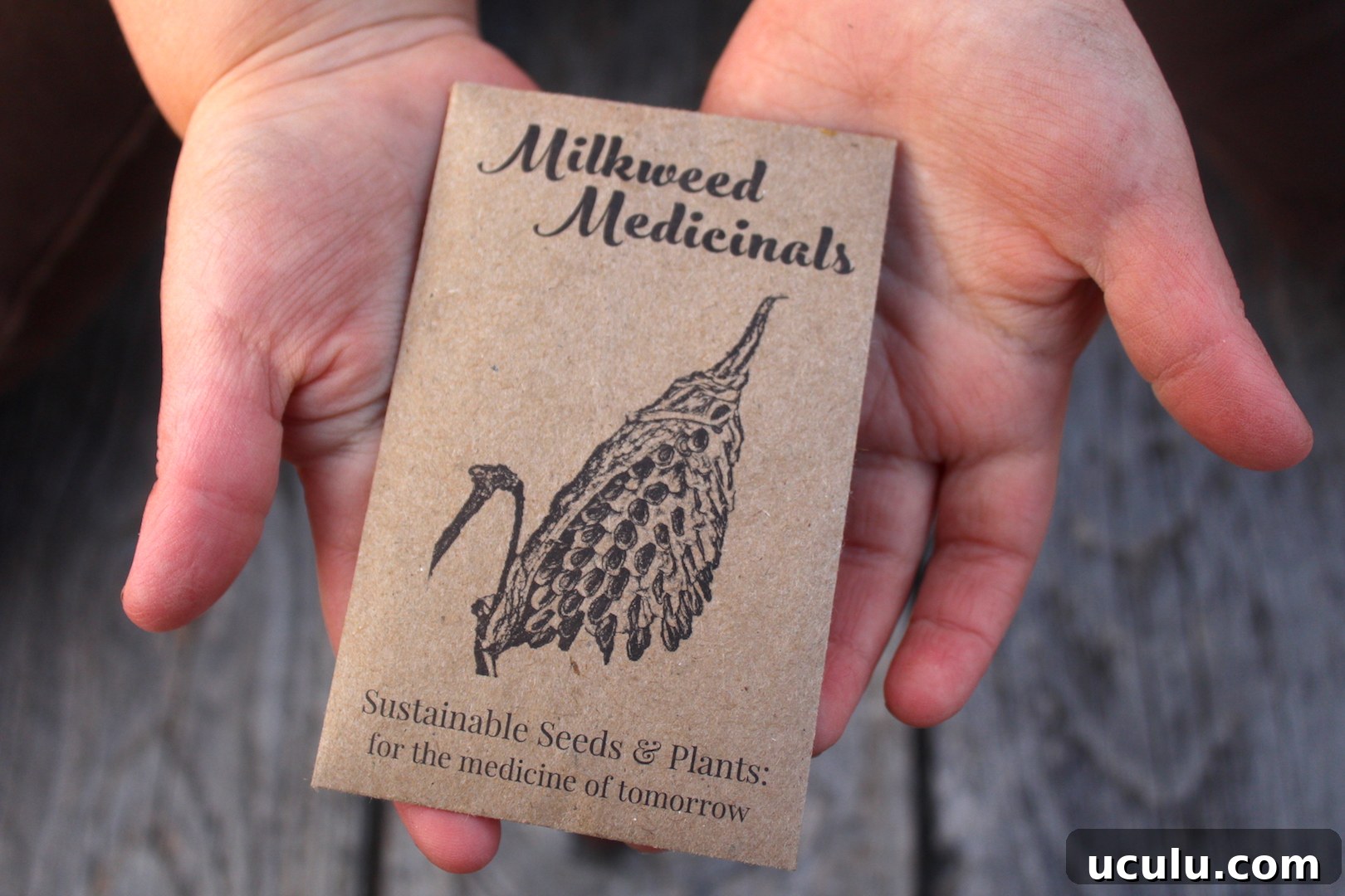 Milkweed Medicinals Ramp Seeds