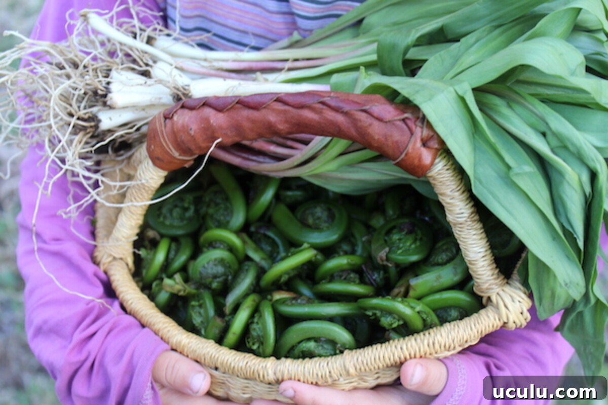fiddleheads and ramps