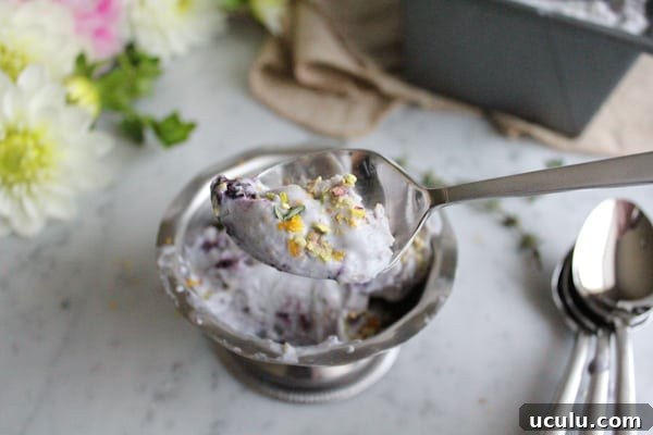 A spoonful of Blueberry Lemon and Thyme Ice Cream garnished with pistachio, lemon zest, and thyme.