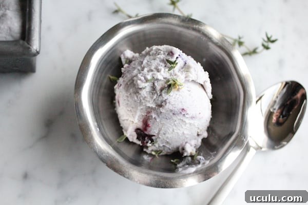 A scoop of Blueberry Lemon and Thyme Ice Cream in a dish.