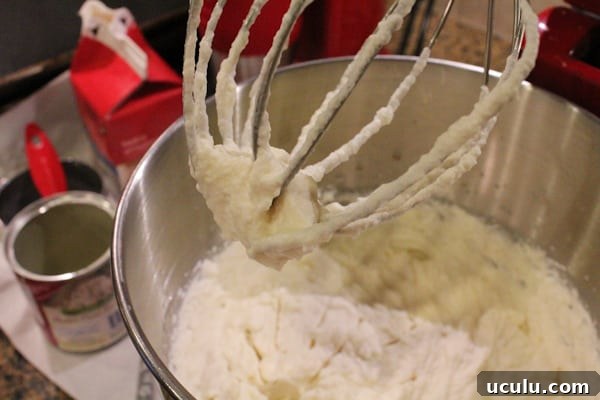 Close up of cream being whipped in a KitchenAid mixer for Blueberry Lemon and Thyme Ice Cream.