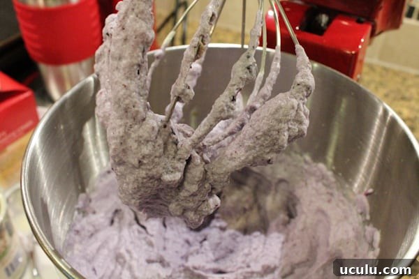 Blueberry Lemon and Thyme Ice Cream being mixed in a KitchenAid mixer.