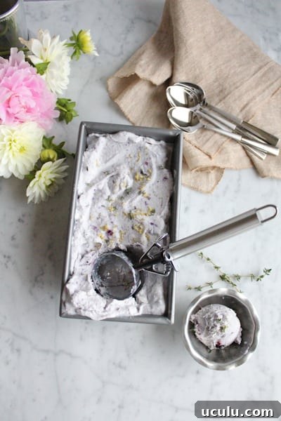 A pan of Blueberry Lemon and Thyme Ice Cream with a scoop of ice cream in a dish.