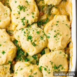 looking down on casserole dish of vegan pot pie