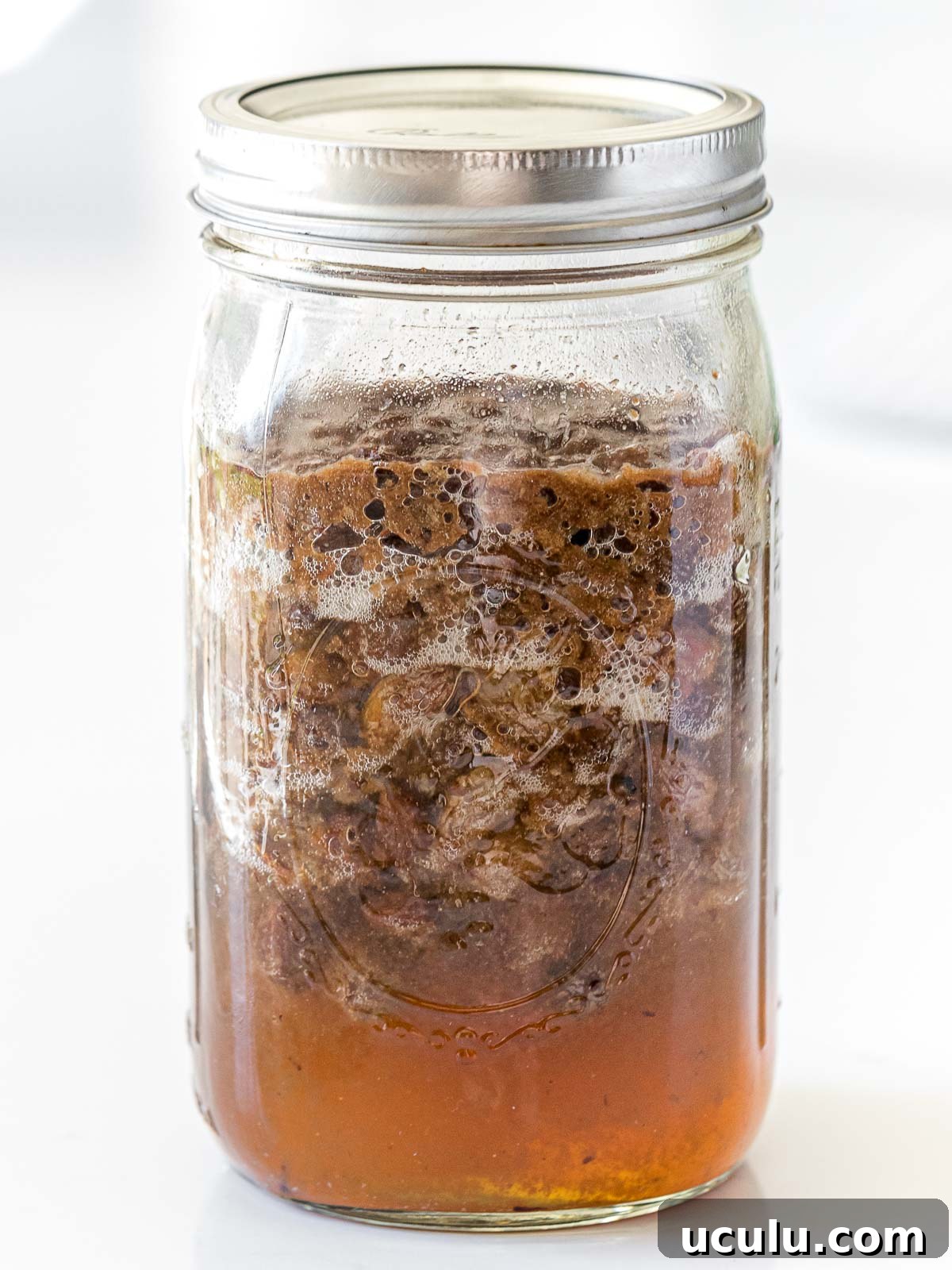 fermented raisin yeast water showing bubbles and floating raisins in a glass mason jar with a lid