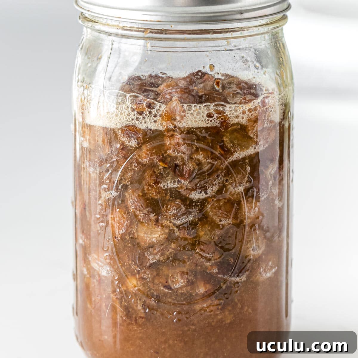 fruit yeast water bubbling in a glass mason jar with a foam layer on top