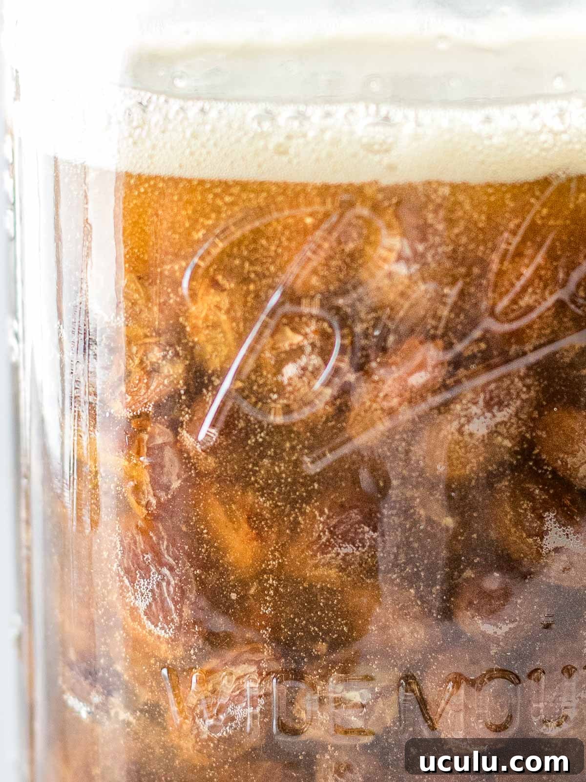 close up of raisin yeast water with bubbles and a foam layer