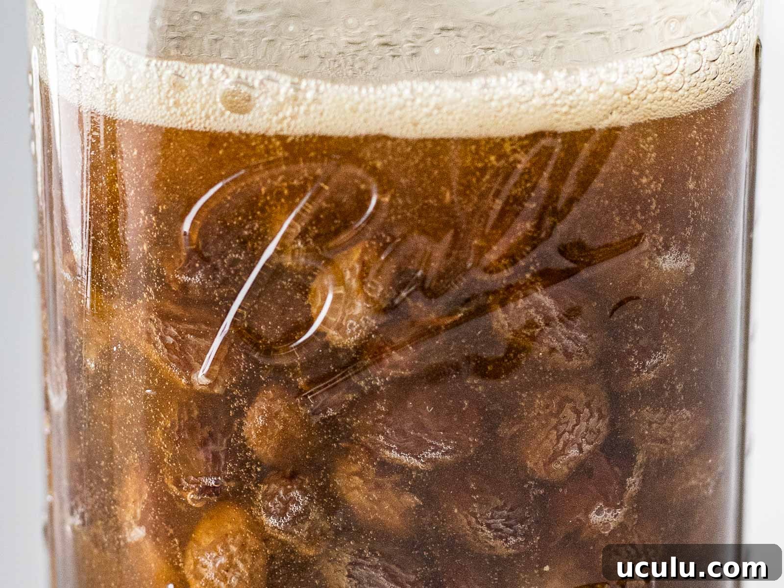 close up of fermented raisin yeast water bubbling with a foam layer in a glass jar