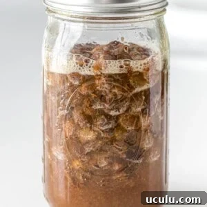 fruit yeast water bubbling in a glass mason jar with a foam layer on top