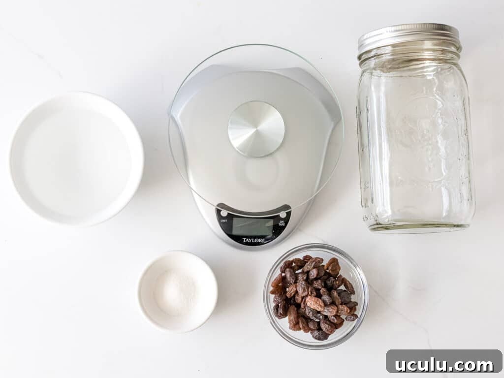 ingredients for raisin yeast water including raisins, kitchen scale, mason jar, water, and sugar