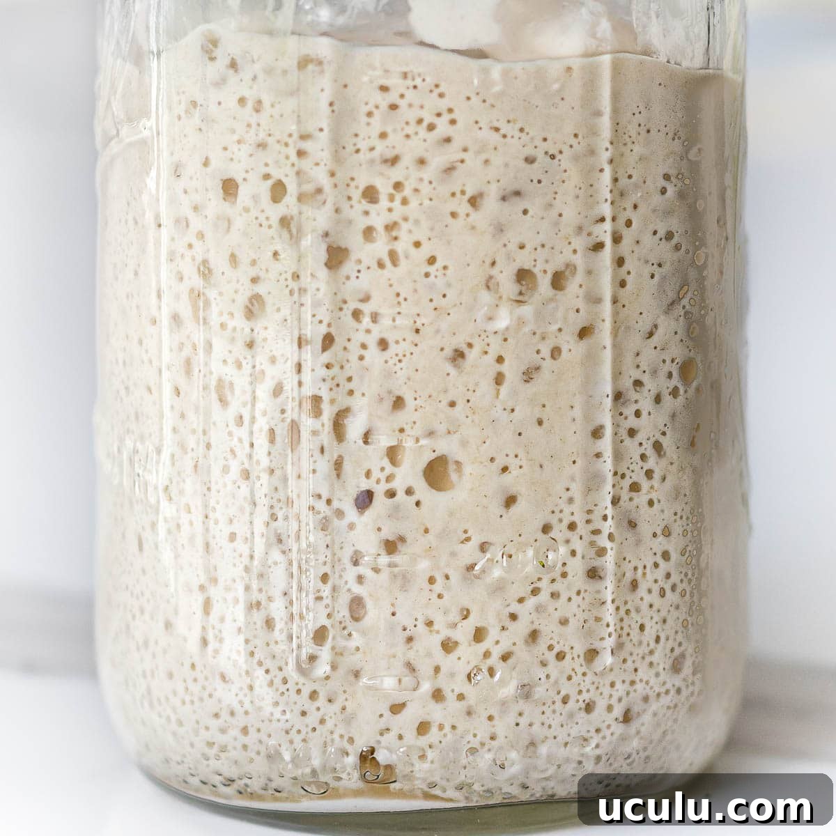 close up of active starter in a glass jar
