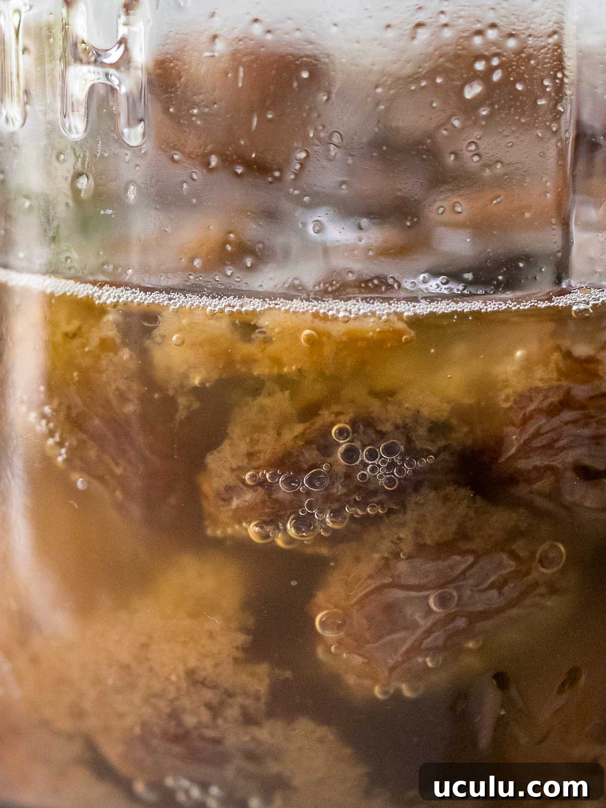close up of raisin yeast water fermenting in a glass jar