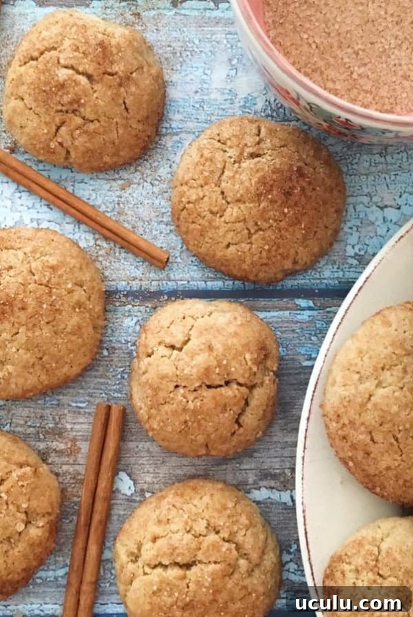 Snickerdoodles with cinnamon sticks and a bowl of cinnamon sugar