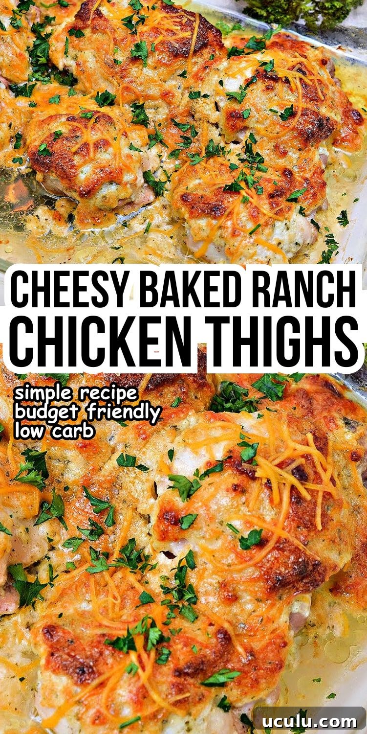 Keto Baked Cheesy Ranch Chicken Thighs
