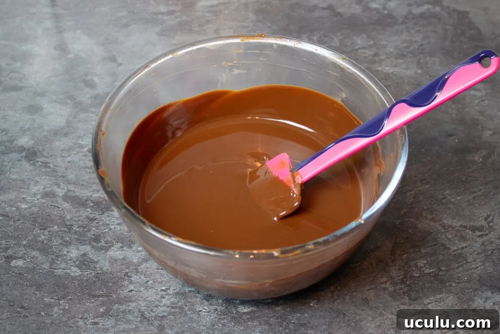 Melted chocolate, butter and golden syrup in a large mixing bowl with a spatula.
