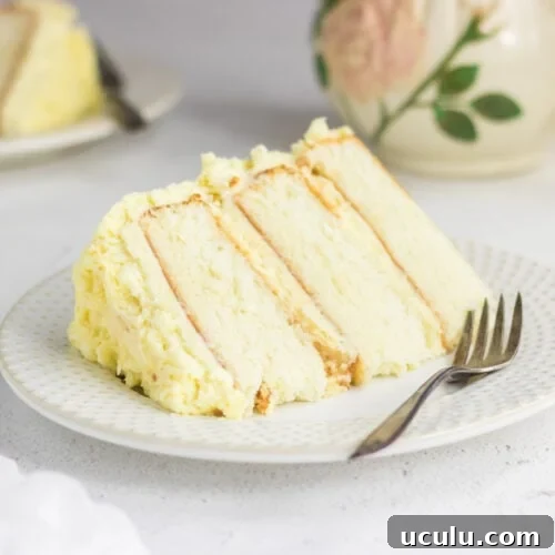 Closeup of a slice of cake.