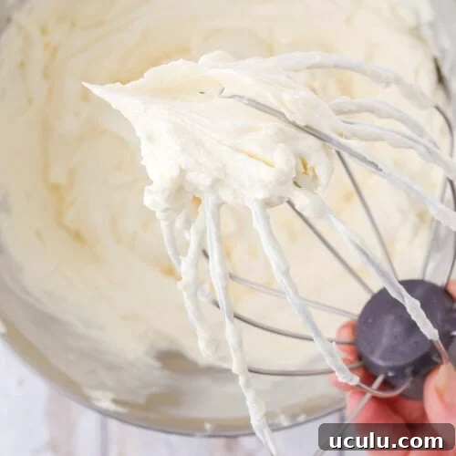 A thick layer of white frosting on the whisk attachment of a mixer.